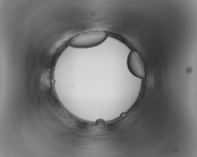 X0000113221262200910221117
