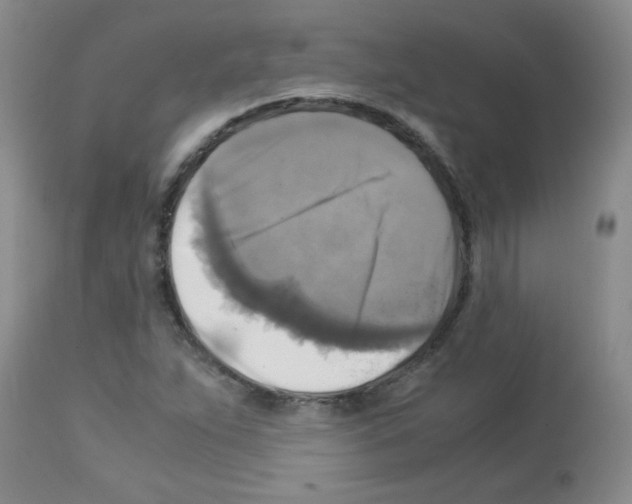 X0000113221263200910221117