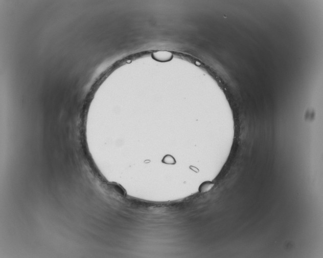 X0000113221264200910221117