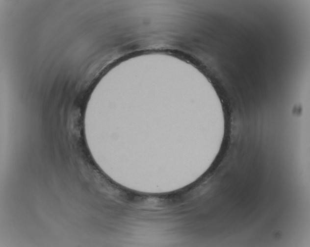 X0000113221265200910221117