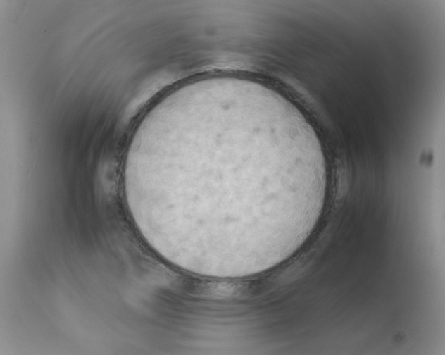 X0000113221266200910221117