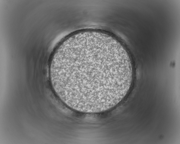 X0000113221267200910221117