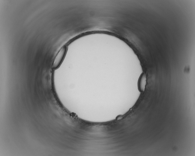 X0000113221268200910221117
