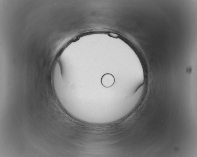 X0000113221269200910221117
