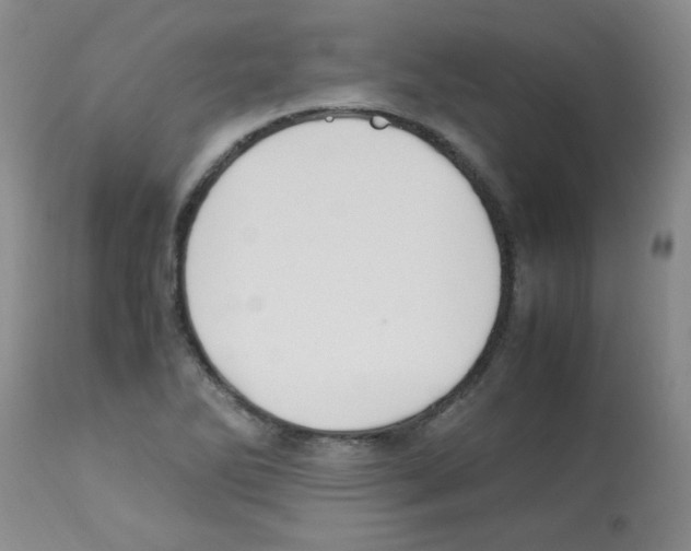 X0000113221270200910221117