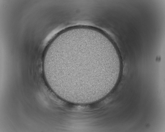 X0000113221271200910221117