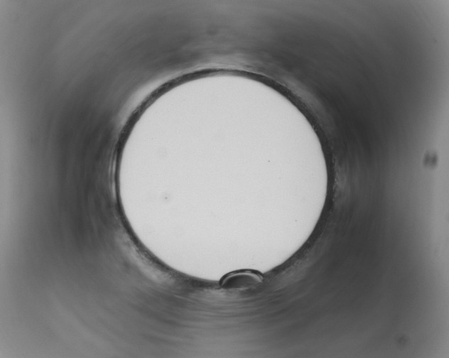 X0000113221272200910221117