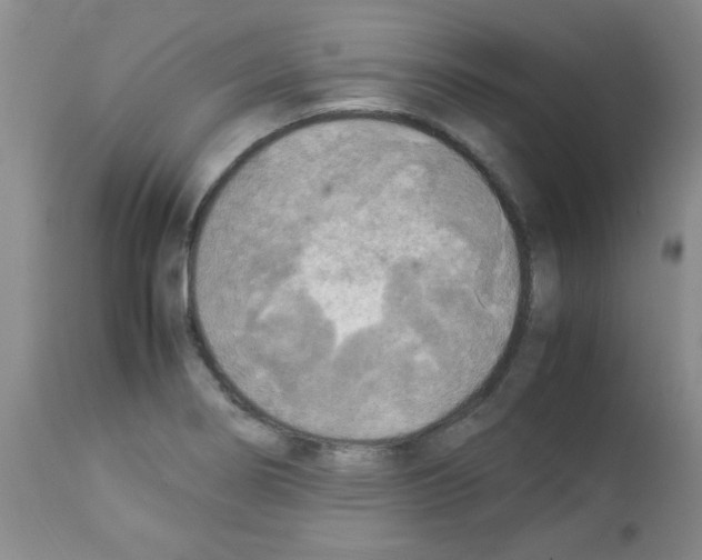 X0000113221274200910221117
