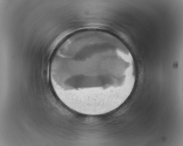 X0000113221275200910221117