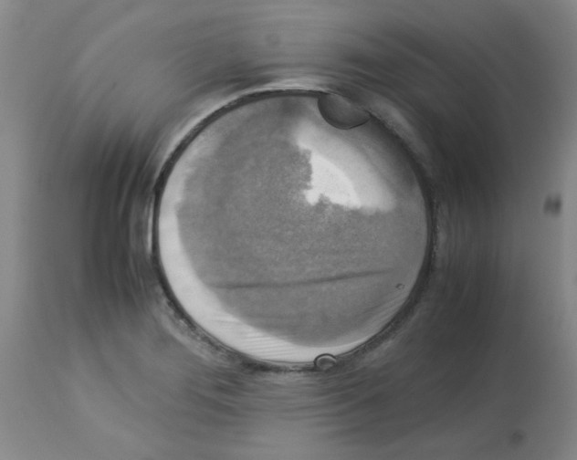 X0000113221276200910221117