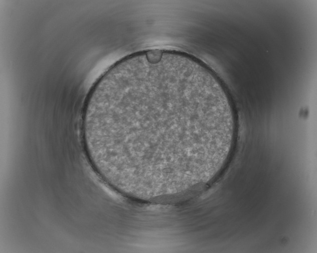 X0000113221277200910221117