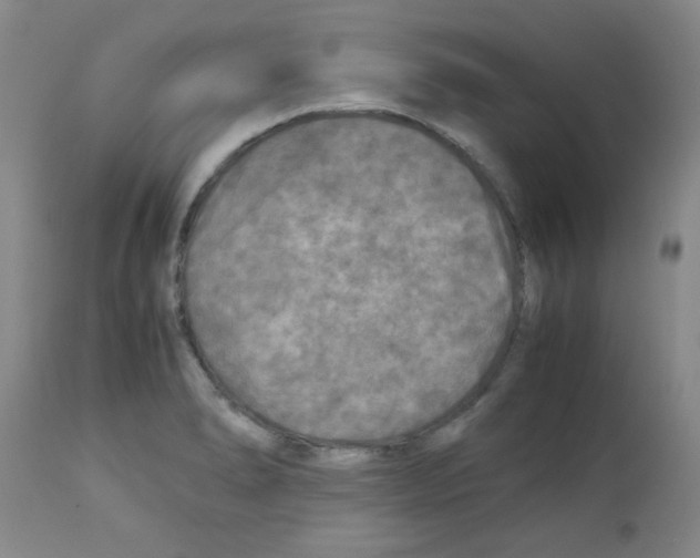 X0000113221278200910221117