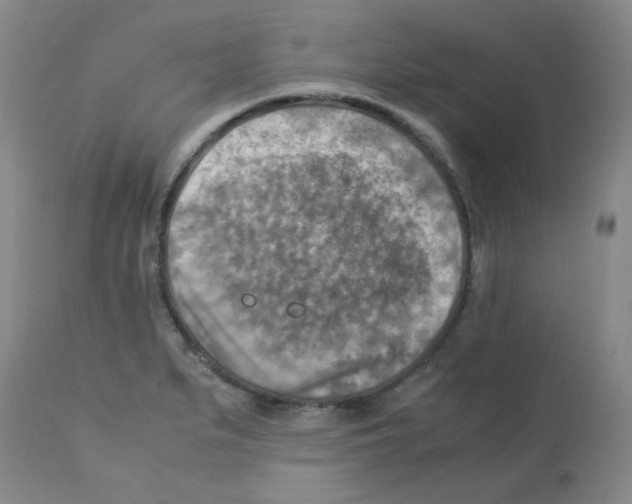 X0000113221279200910221117