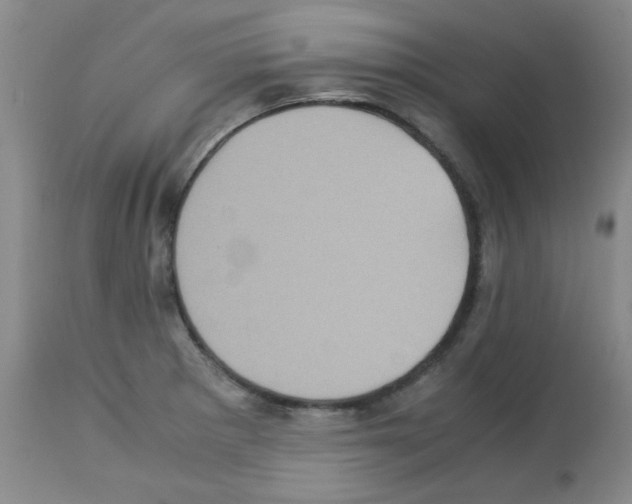 X0000113221281200910221117