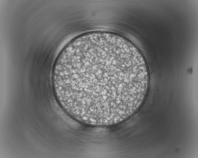 X0000113221283200910221117