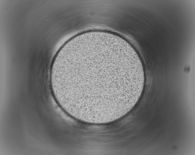 X0000113221287200910221117
