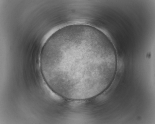 X0000113221294200910221117