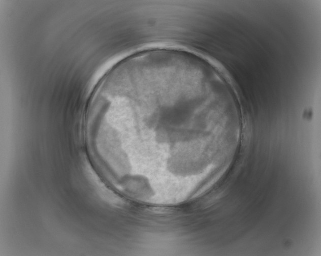 X0000113221295200910221117
