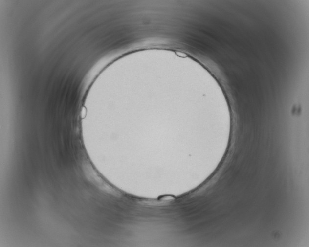 X0000113221296200910221116