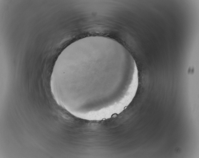 X0000113221297200910221116