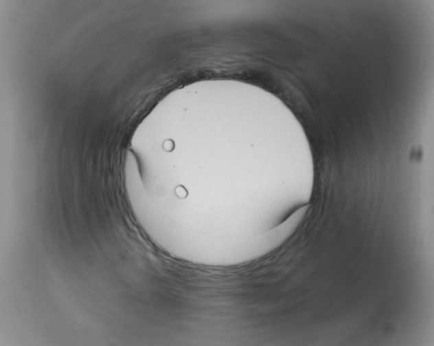 X0000113221298200910221116