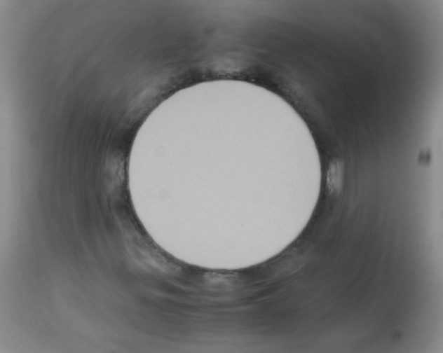 X0000113221299200910221116