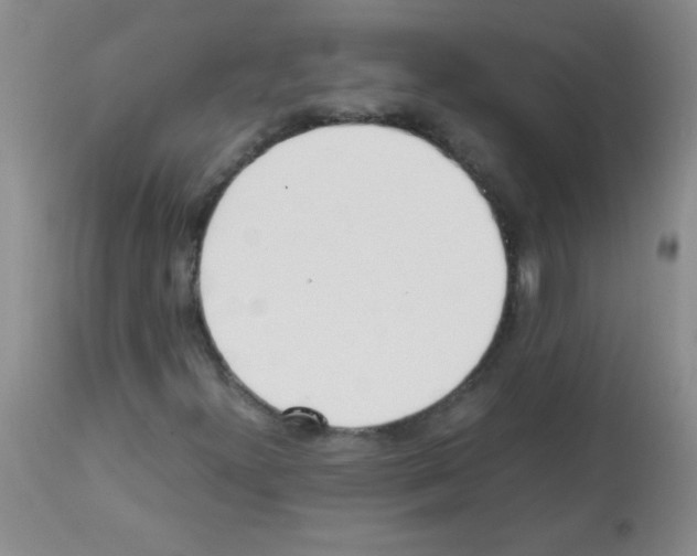X0000113221300200910221116