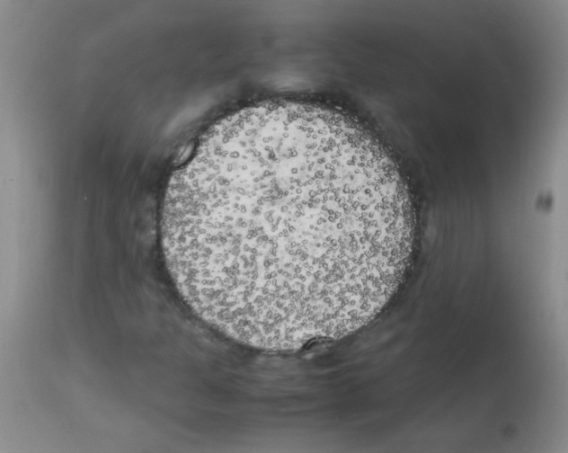 X0000113221301200910221116