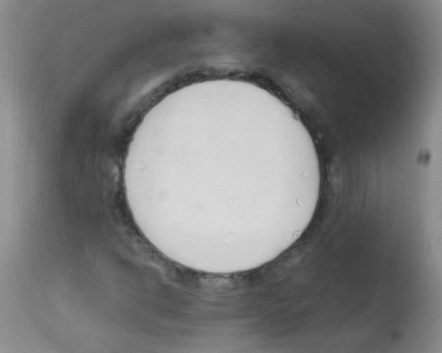 X0000113221302200910221116