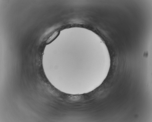 X0000113221303200910221116