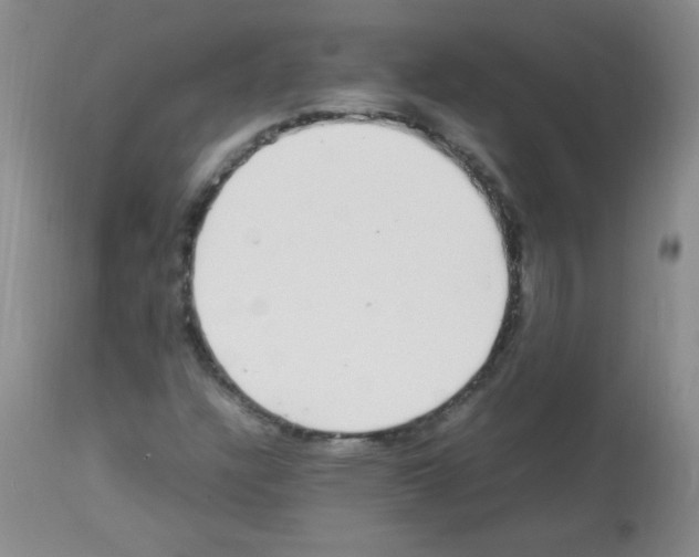 X0000113221304200910221116