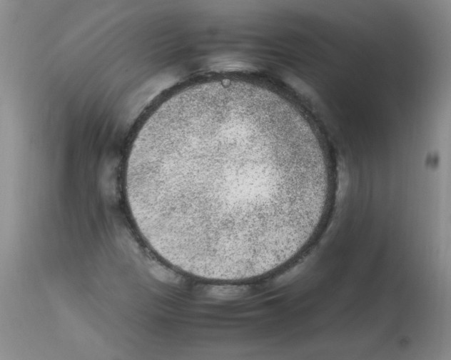 X0000113221305200910221116