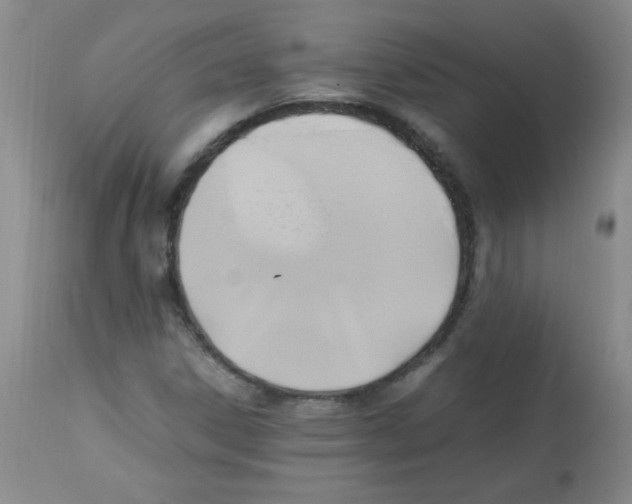 X0000113221306200910221116