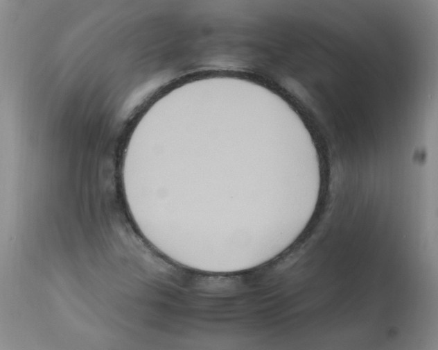 X0000113221307200910221116