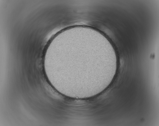X0000113221308200910221116