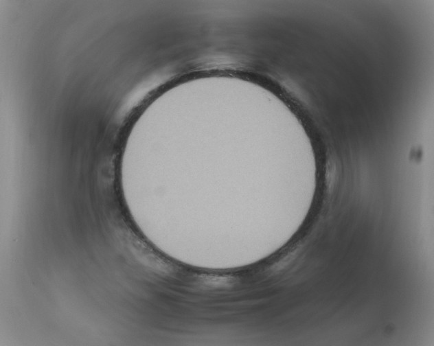 X0000113221309200910221116