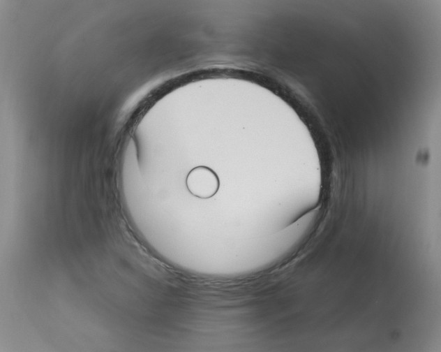 X0000113221310200910221116