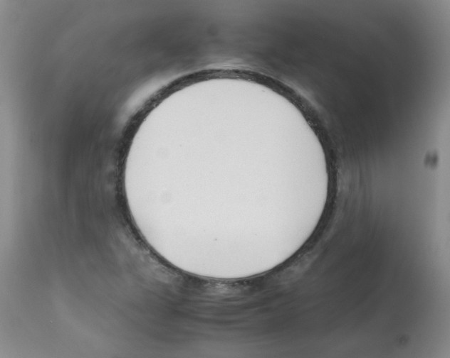 X0000113221311200910221116