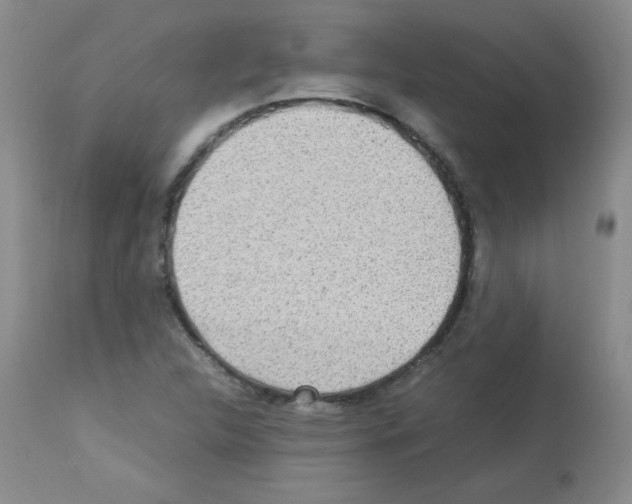 X0000113221312200910221116