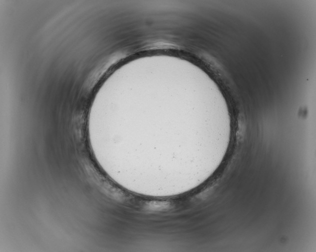 X0000113221313200910221116