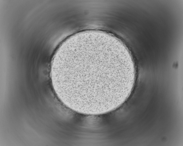 X0000113221314200910221116