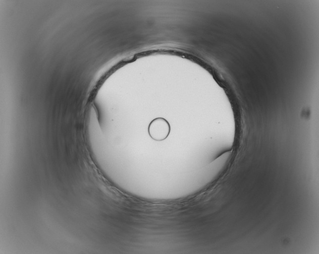 X0000113221316200910221116