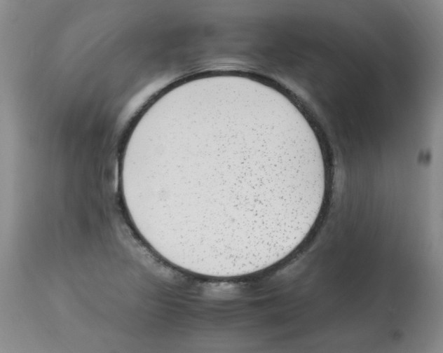 X0000113221317200910221116