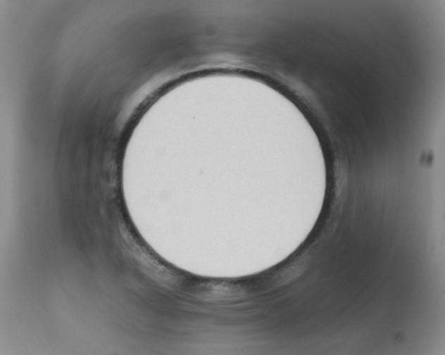 X0000113221318200910221116