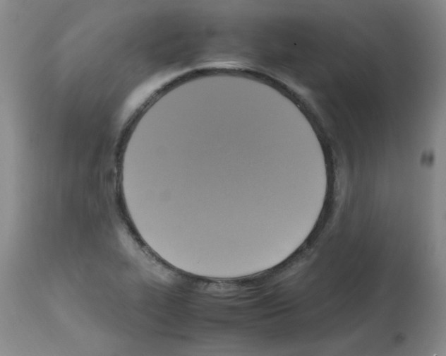 X0000113221319200910221116