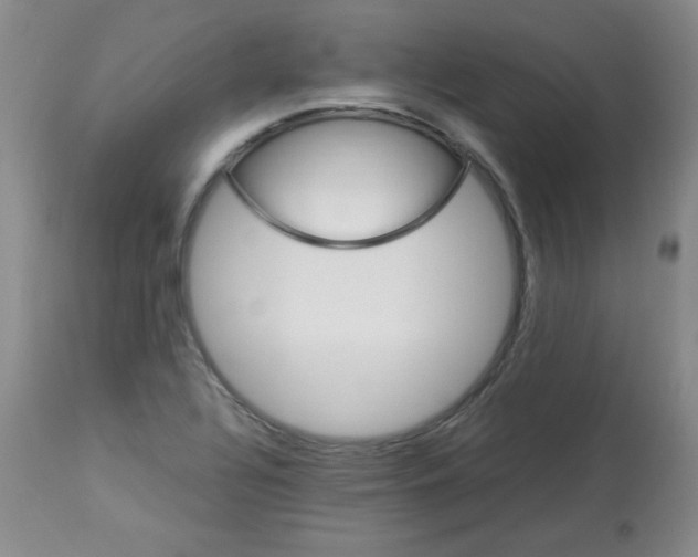 X0000113221320200910221116