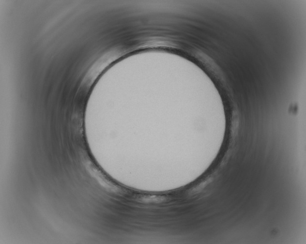 X0000113221321200910221116