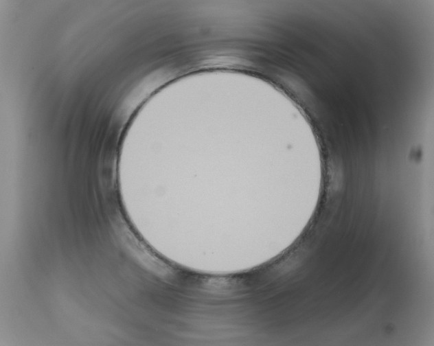 X0000113221322200910221116