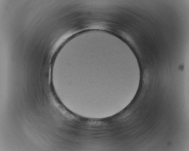 X0000113221323200910221116