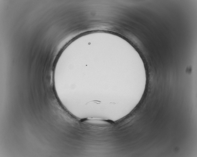 X0000113221324200910221116